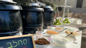 Hanukkah Toast 2021 picture no. 4