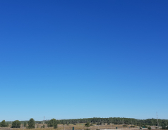 Lee's farewell event (December 2019)