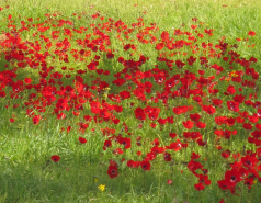 Group Trip, Be'eri, 2013