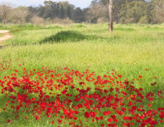 Group Trip, Be'eri, 2013 picture no. 1