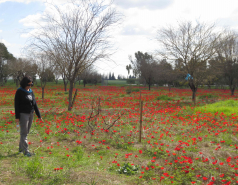 Group Trip, Be'eri, 2013 picture no. 12