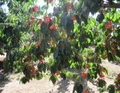 Group Trip North, 2012 picture no. 7