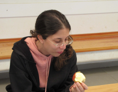 Lab Trip to Jerusalem Hills, 2010 picture no. 14