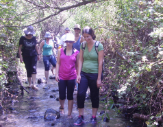 Liat's Farewell Trip, 2011 picture no. 2