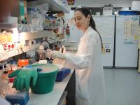 Around the Lab picture no. 3