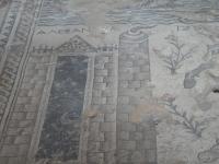 Lab trip to the north picture no. 17