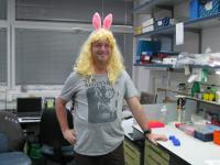 Holidays picture no. 4