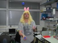 Holidays picture no. 5