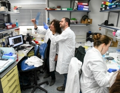 At work in the Lab picture no. 16