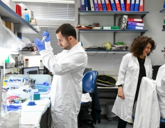 At work in the Lab picture no. 17