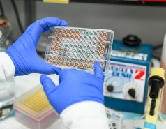 At work in the Lab picture no. 18