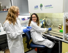 At work in the Lab picture no. 23