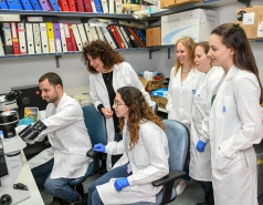 At work in the Lab picture no. 22