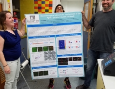 At work in the Lab picture no. 15