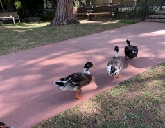 Molecular Genetics Retreat 2019 picture no. 10