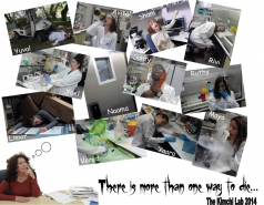 More than 1 way to die