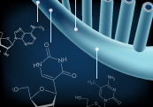 Characterizing the epitranscriptome