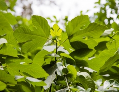 Lab trip 2016-05-04 Farewell to Inna picture no. 3