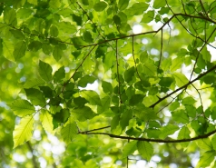 Lab trip 2016-05-04 Farewell to Inna picture no. 6