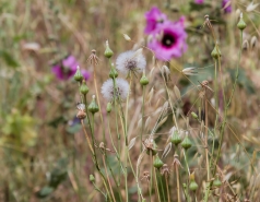 Lab trip 2016-05-04 Farewell to Inna picture no. 28