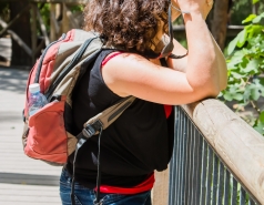 Lab trip 2016-05-04 Farewell to Inna picture no. 38