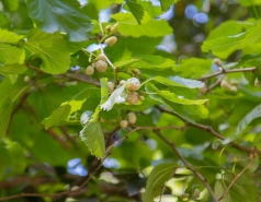 Lab trip 2016-05-04 Farewell to Inna picture no. 41