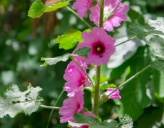 Lab trip 2016-05-04 Farewell to Inna picture no. 51