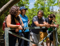 Lab trip 2016-05-04 Farewell to Inna picture no. 53