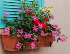 Lab trip 2016-05-04 Farewell to Inna picture no. 89