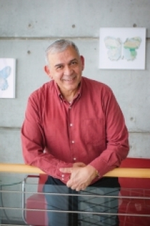 Prof. Yosef Shaul