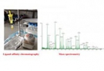 Ligand affinity chromatography and Mass Spectrometry