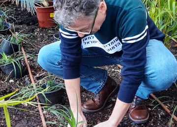 Tu Bishvat 2023 picture no. 34