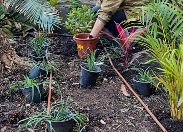 Tu Bishvat 2023 picture no. 36