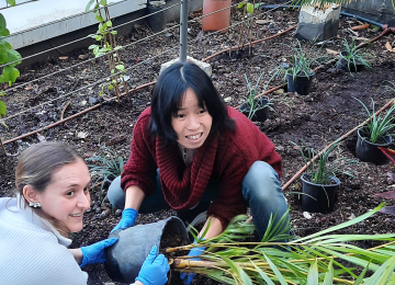 Tu Bishvat 2023 picture no. 37