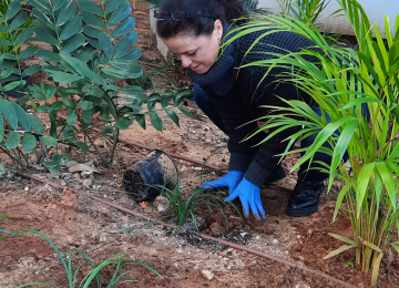 Tu Bishvat 2023 picture no. 47