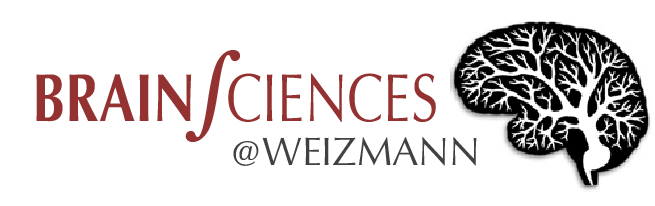 BRain Sciences @ Weizmann