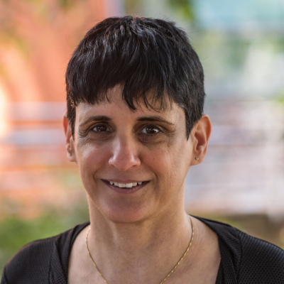 Prof. Ayelet Erez 