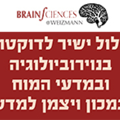 Integrated MSc/PhD in Neuroscience