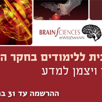 Multidisciplinary brain research program