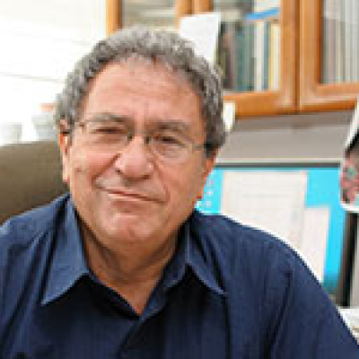 Prof. Eytan Domany