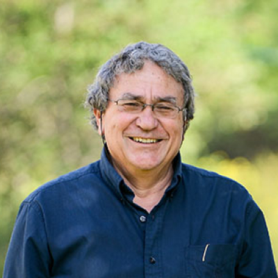 Prof. Eytan Domany