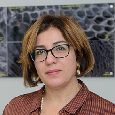 Prof. Irit Sagi