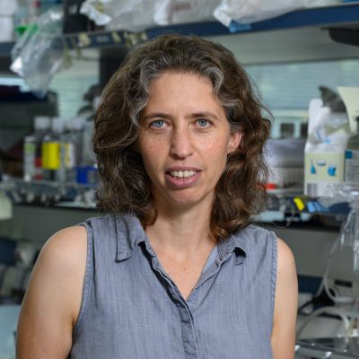 Prof. Noam Stern-Ginossar