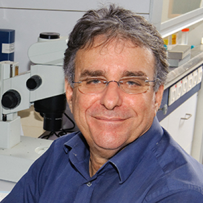 Prof. Yair Reisner