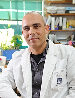 Prof. Alon Chen פרופ" אלון חן