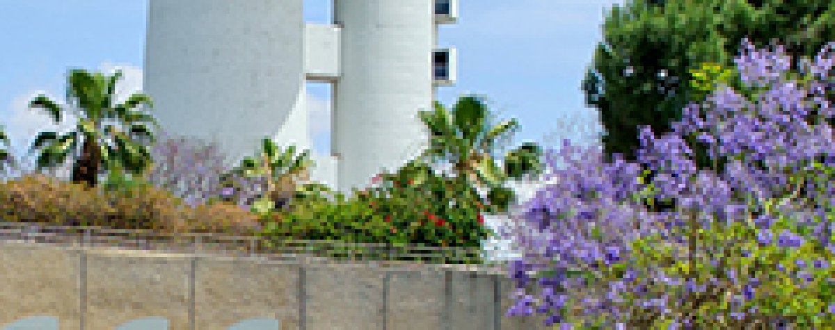 scenic picture of the Weizmann Institute