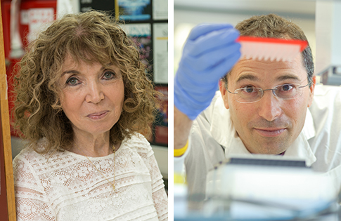 Prof. Michal Schwartz and Dr. Ido Amit