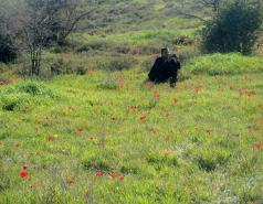 Mamshit picture no. 10