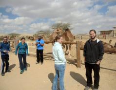 Mamshit picture no. 11