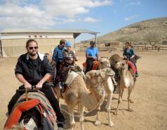 Mamshit picture no. 13